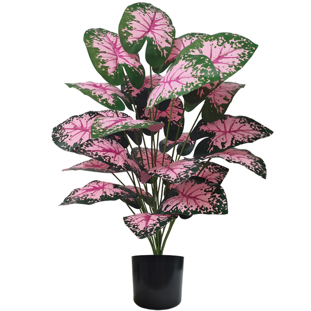 Desk Setup Plant - Plantas en macetas de hojas rosas,