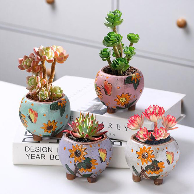 Maceta de plantas suculentas c - Desk Setup Plant reseña y precio