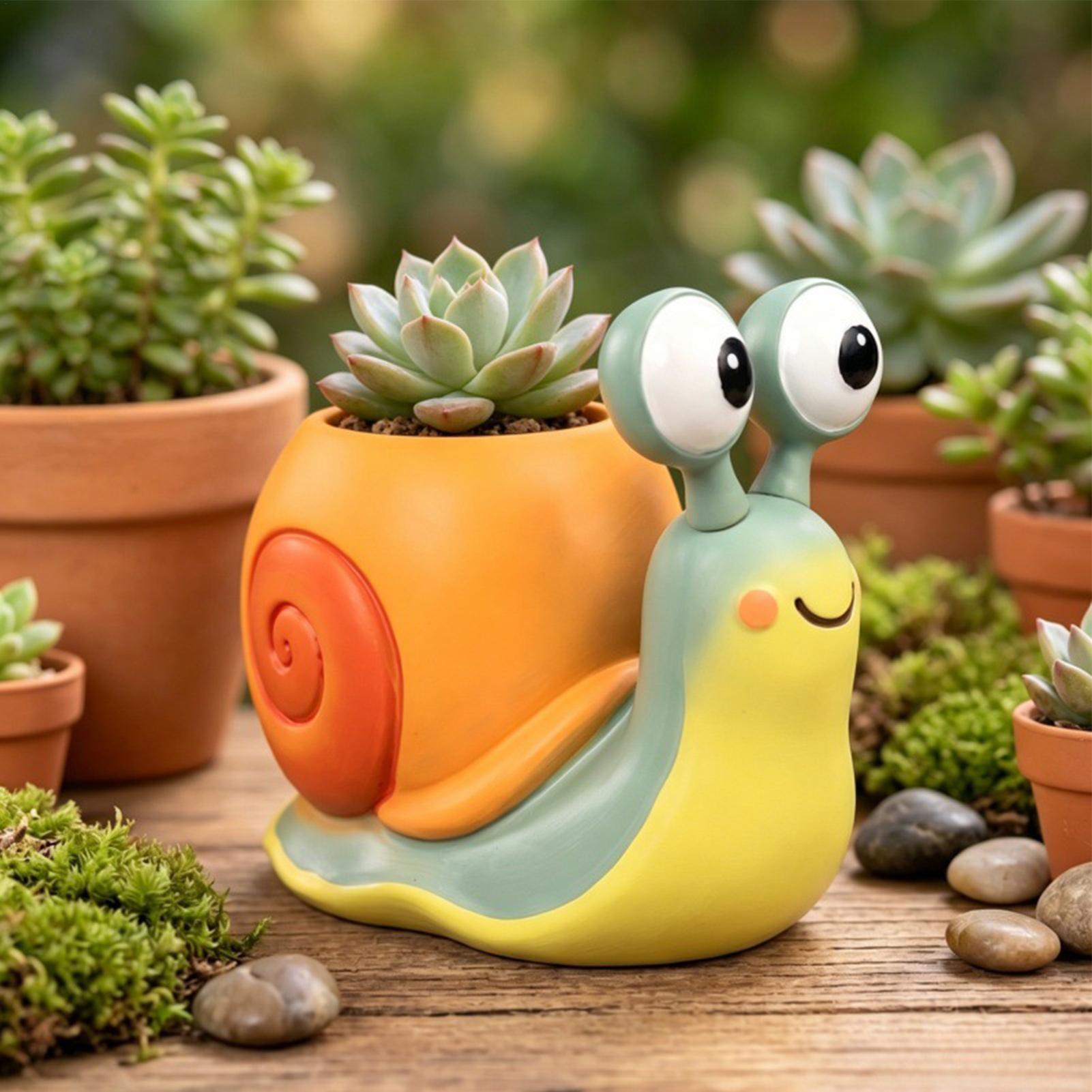 Maceta con forma de caracol, s - Desk Setup Plant reseña y precio