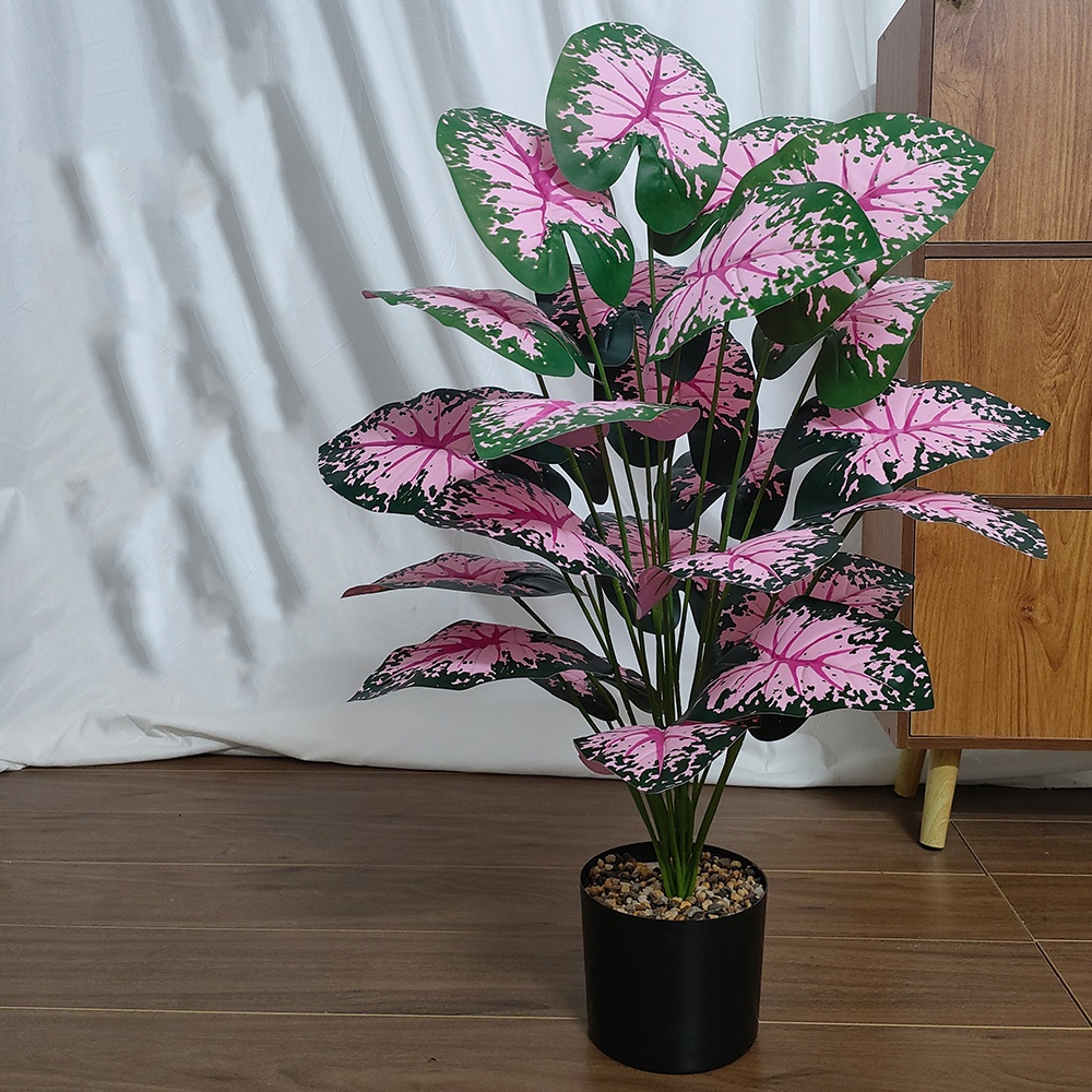 Plantas en macetas de hojas ro - Desk Setup Plant reseña y precio