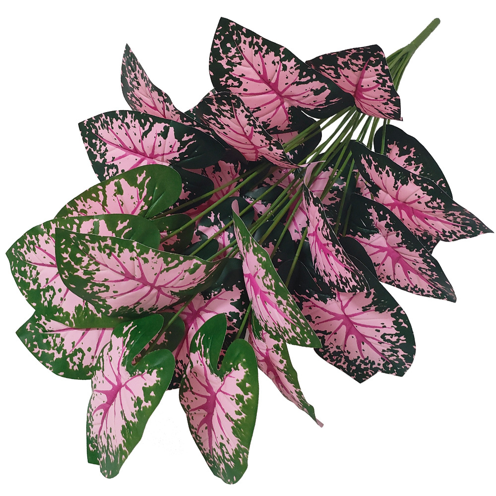 Plantas en macetas de hojas ro - Desk Setup Plant reseña y precio