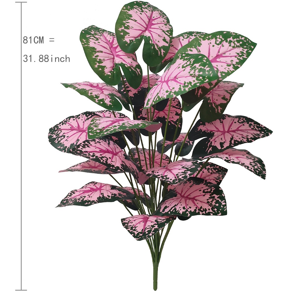Plantas en macetas de hojas ro - Desk Setup Plant reseña y precio