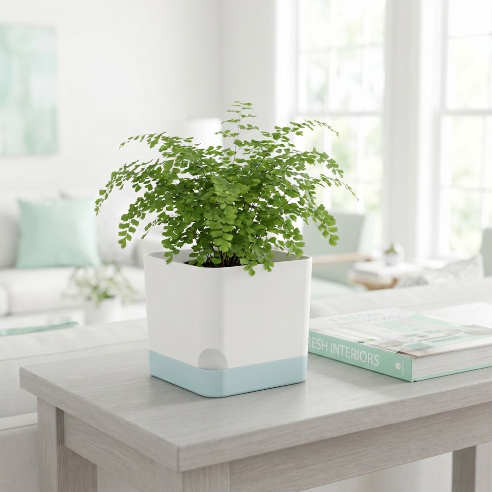 Macetas de Plástico con Forma  - Desk Setup Plant reseña y precio