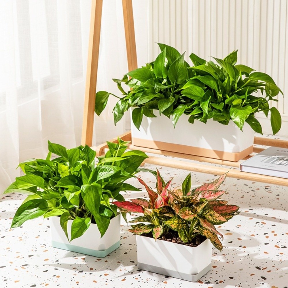 Macetas de Plástico con Forma  - Desk Setup Plant reseña y precio